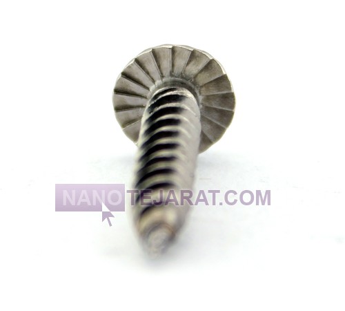 Washer Screw